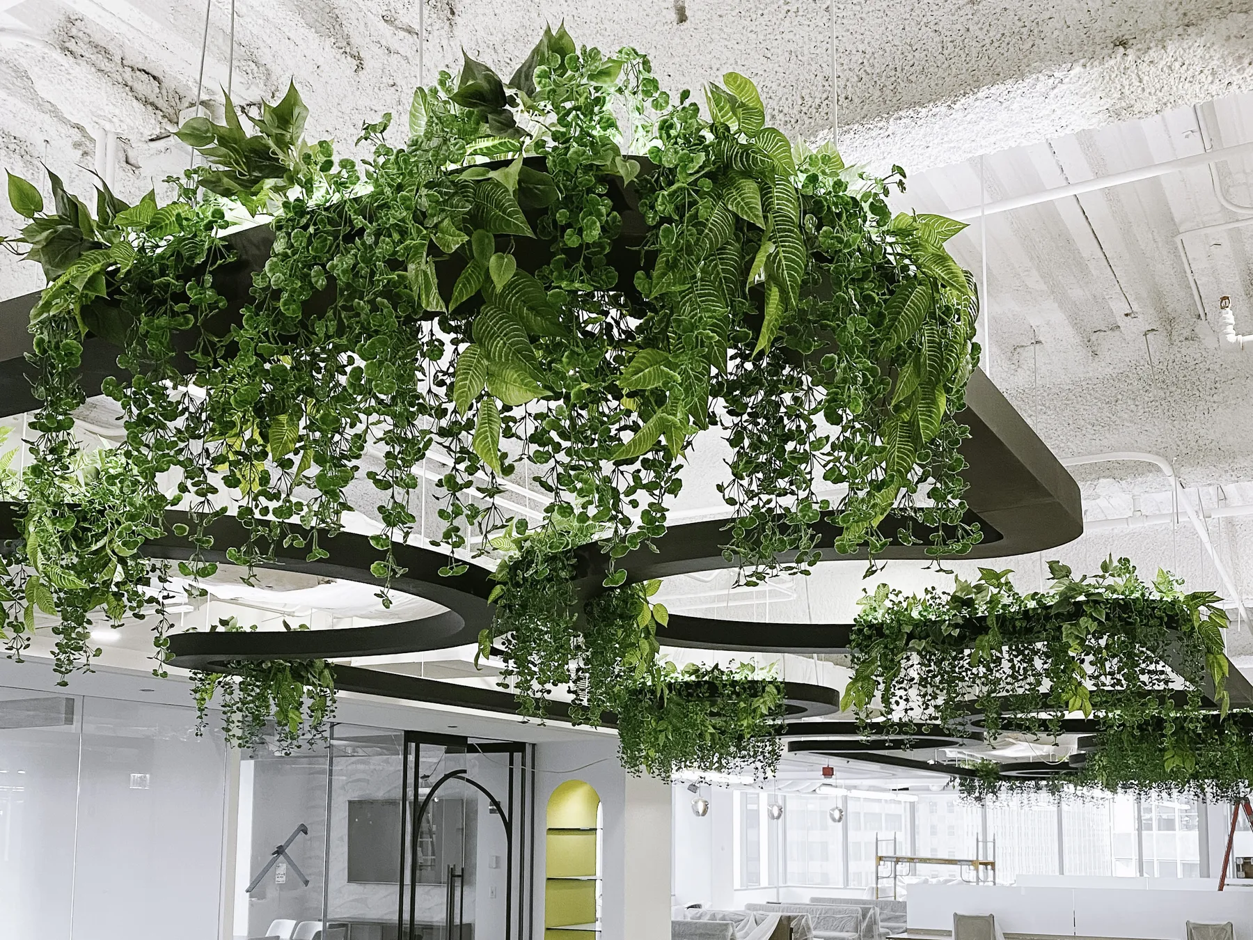 custom steel hanging planter with plants by Variegated Designs