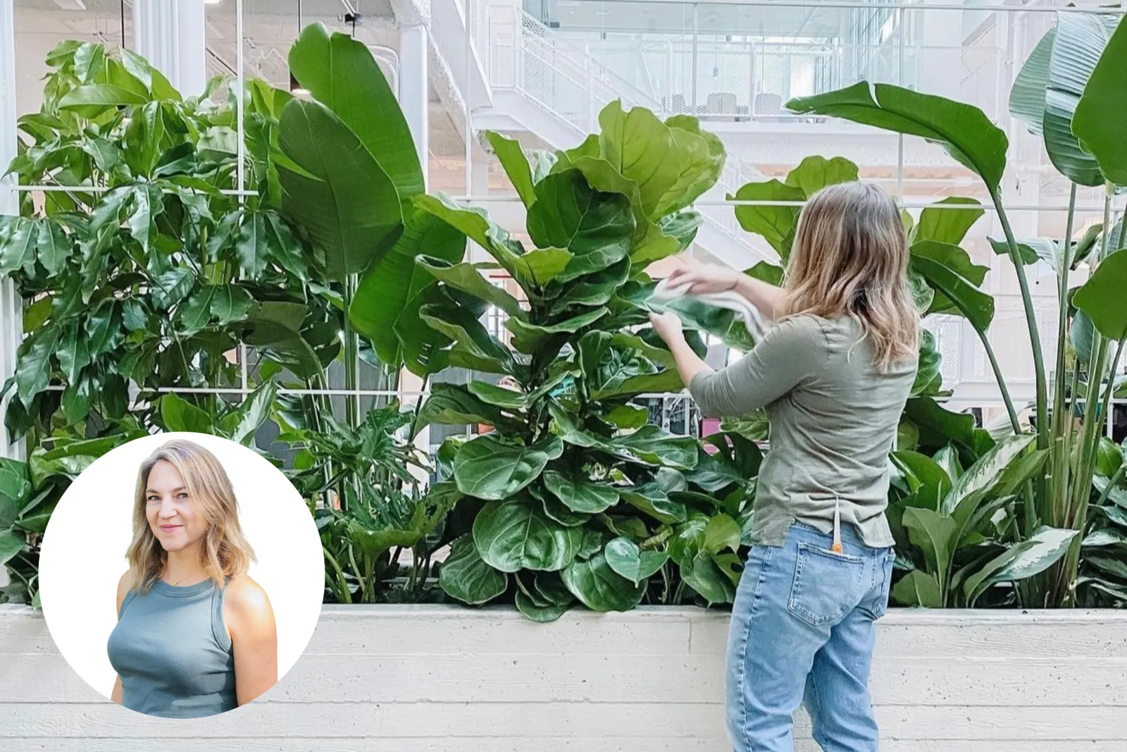 Blogpost2 QA with Variegated Top photo