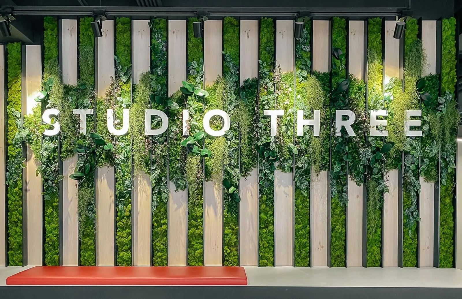 Blogpost2 plant wall variegated designs