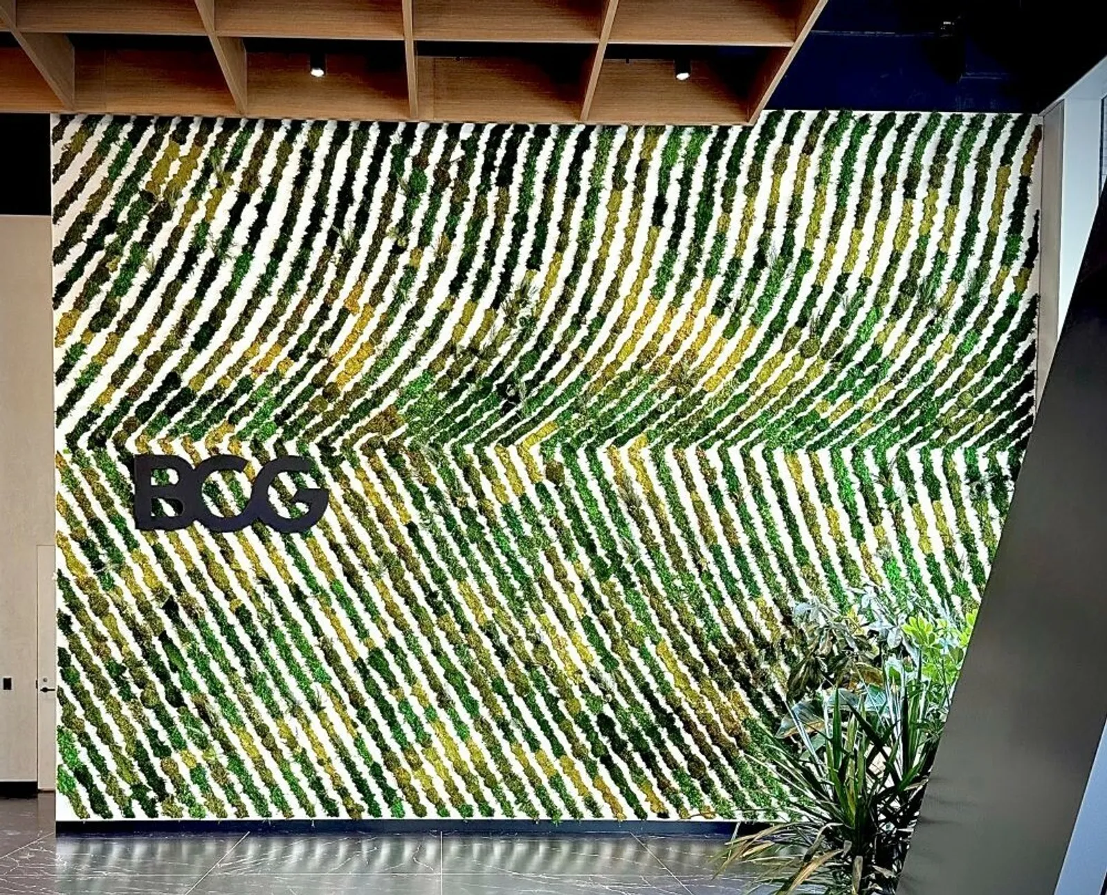 Green wall 2 Icon Modern