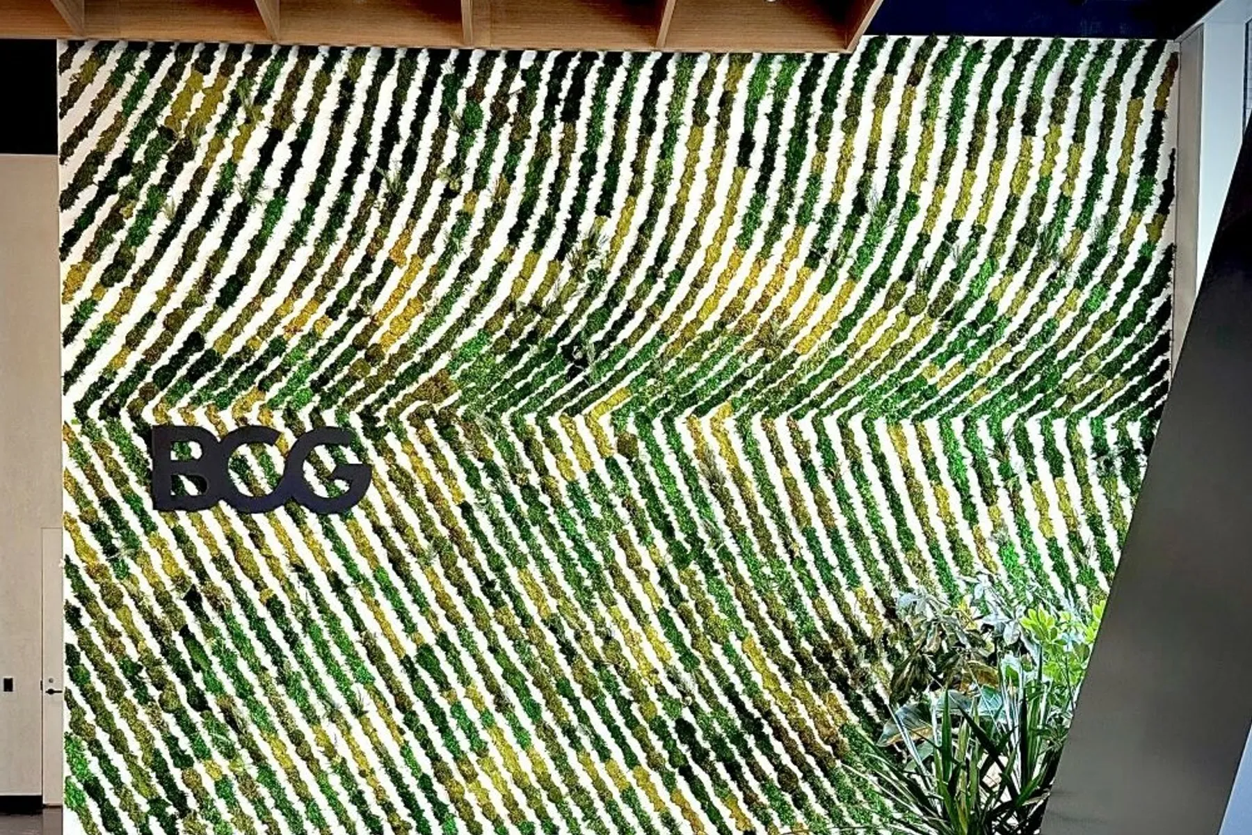 Green wall 2 Icon Modern