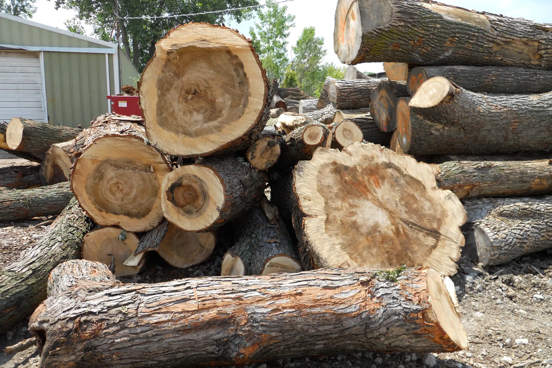 Icon Modern What is Urban Wood