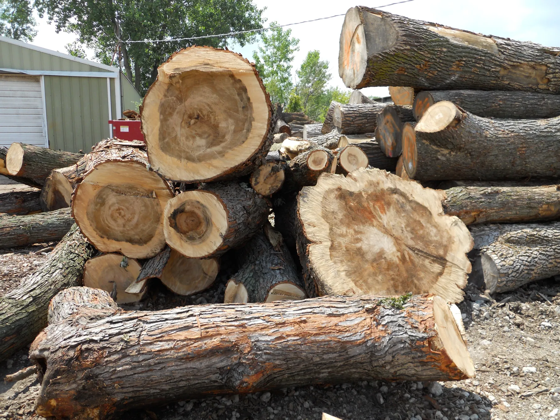 Icon Modern What is Urban Wood