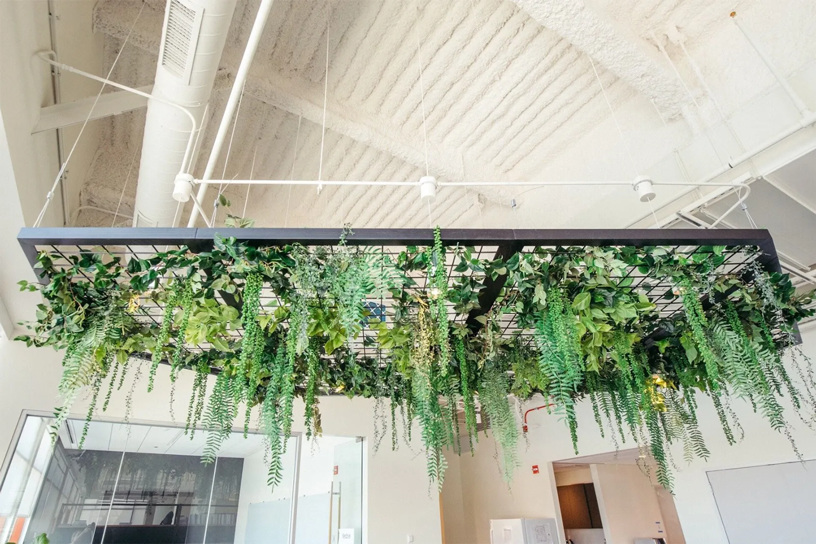 Urban walnut top and steel frame with metal mesh plant cloud