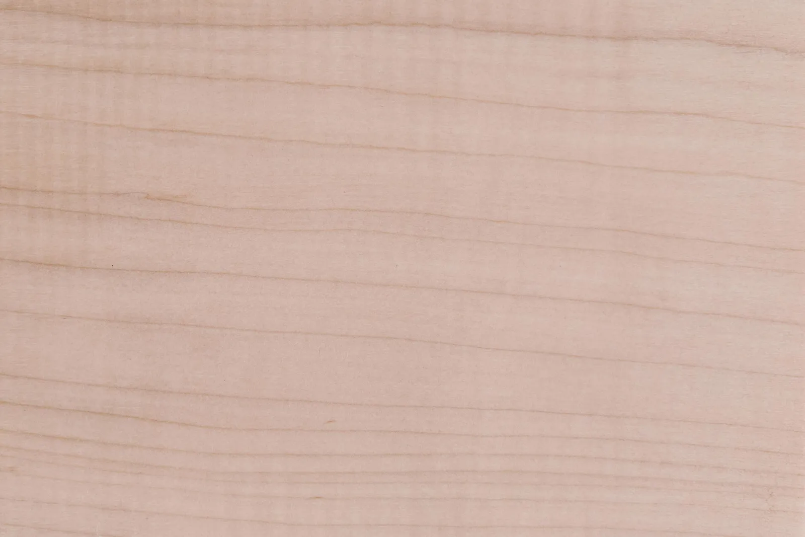 urban maple wood sample by Icon Modern