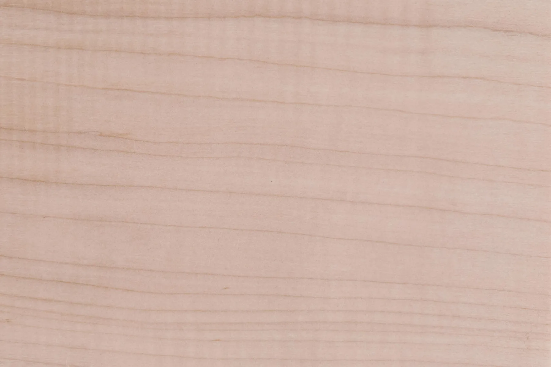 urban maple wood sample by Icon Modern