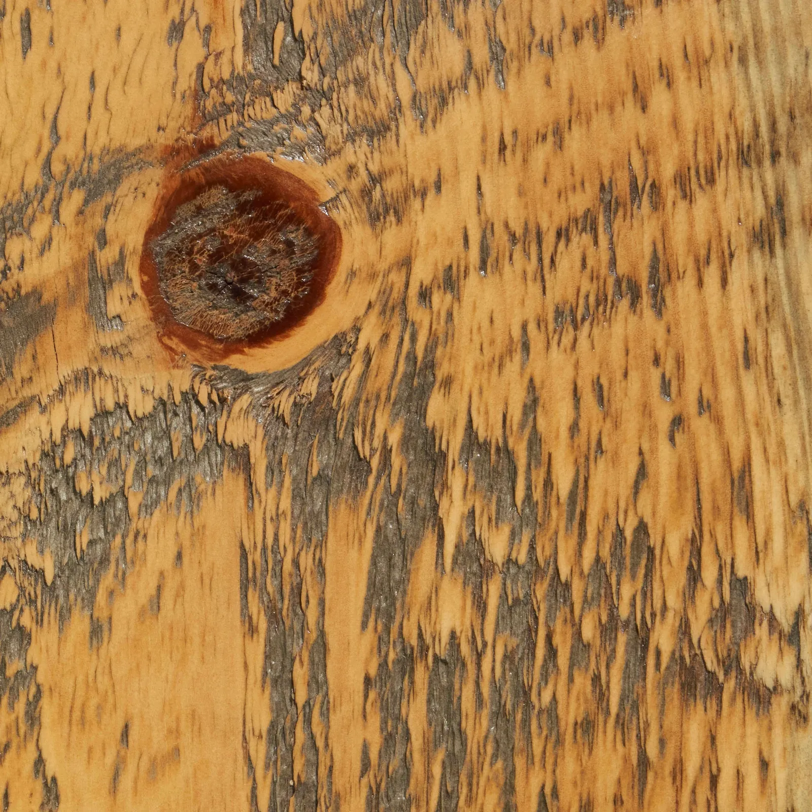 old growth fir wood sample by Icon Modern