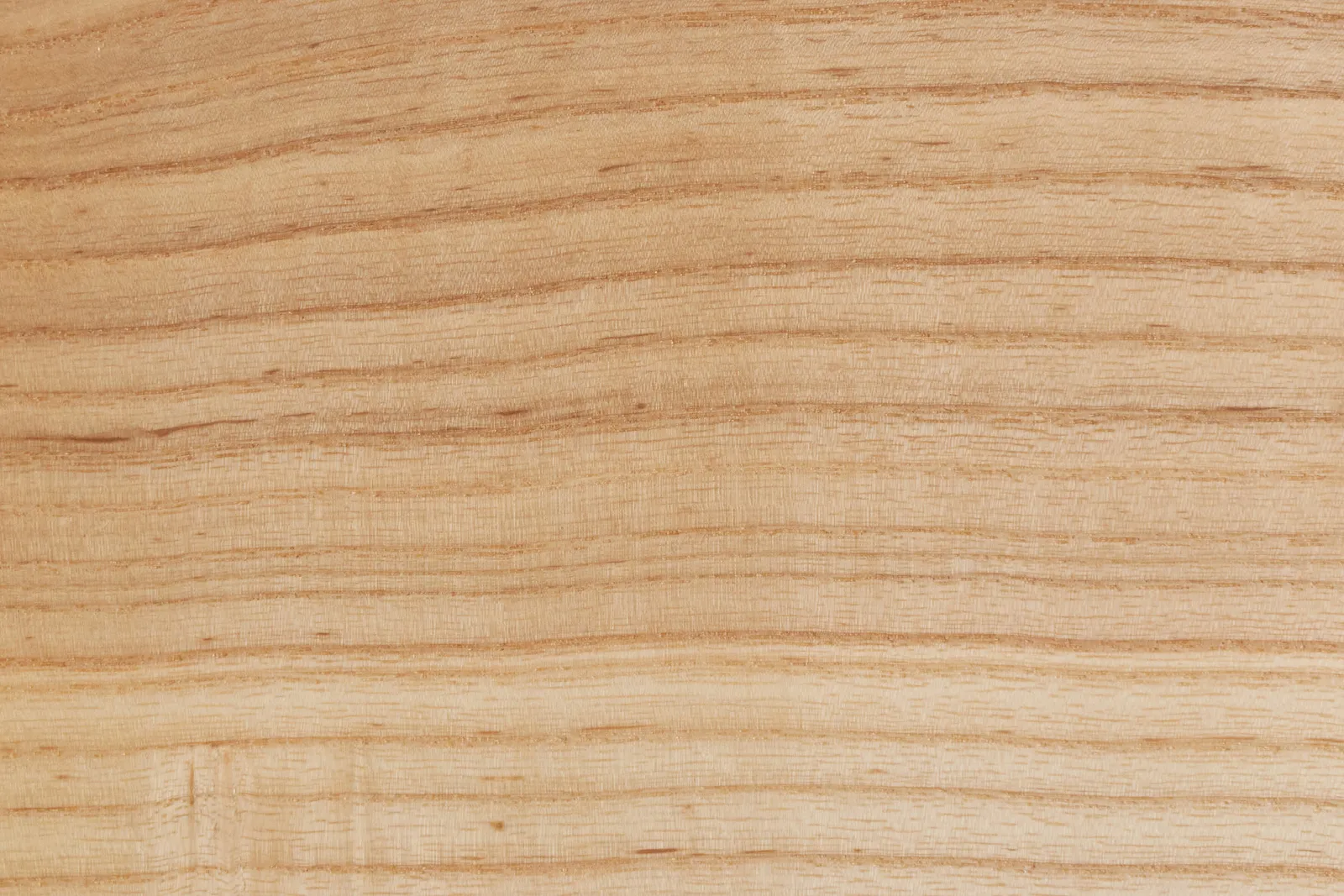 urban ash wood sample by Icon Modern