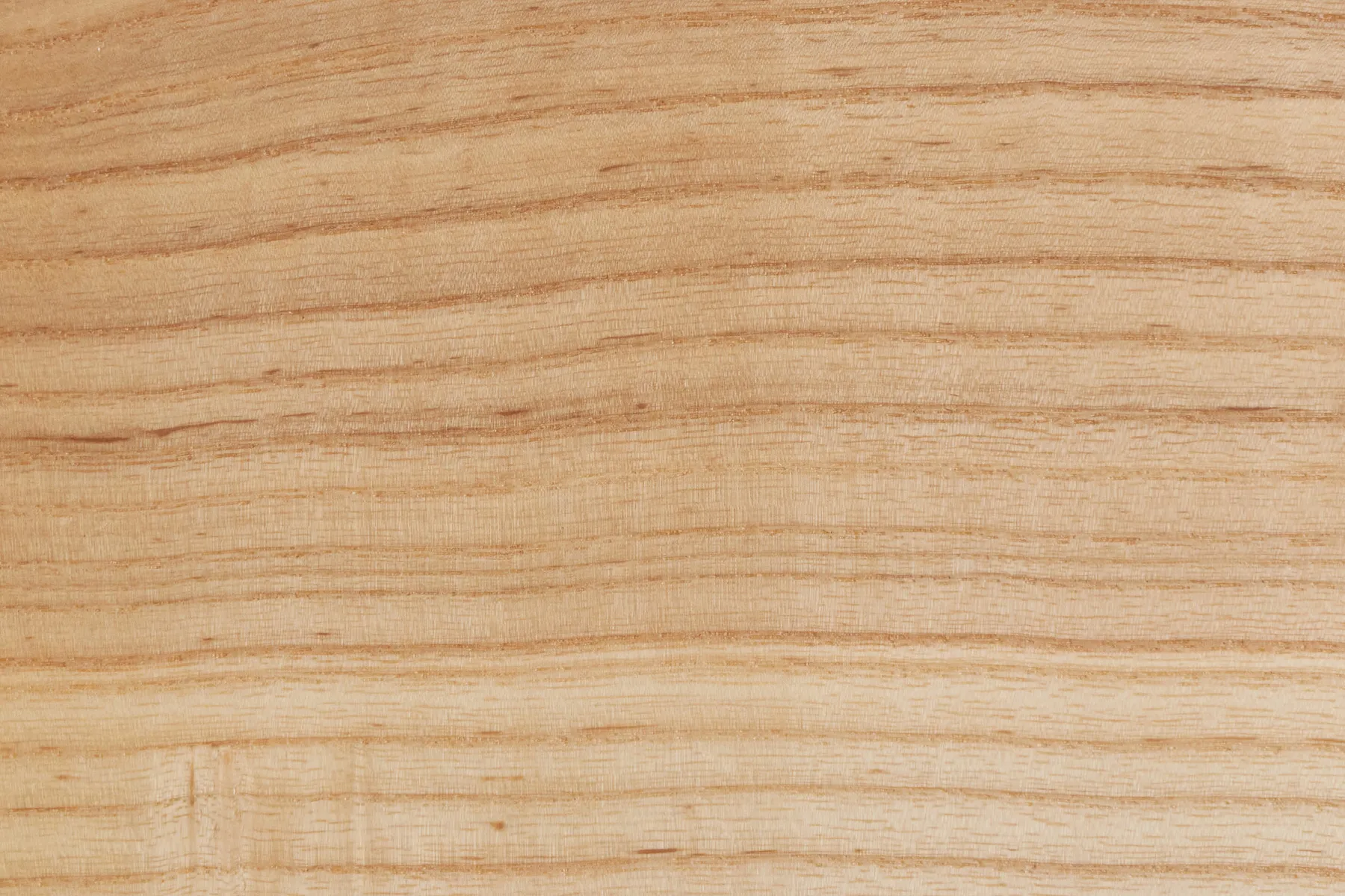 urban ash wood sample by Icon Modern