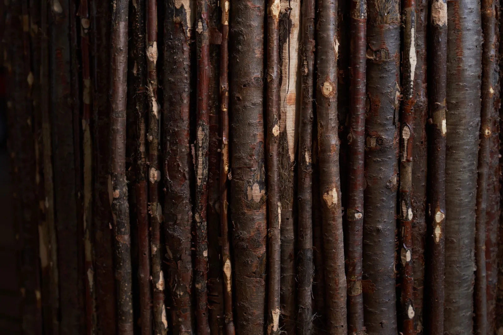 Reclaimed buckthorn by Icon Modern