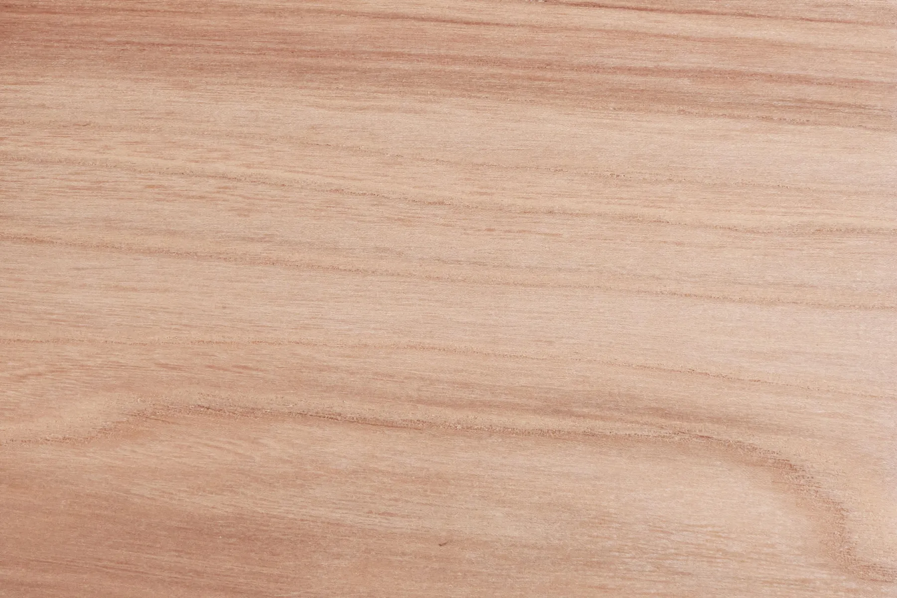 urban elm sample by Icon Modern