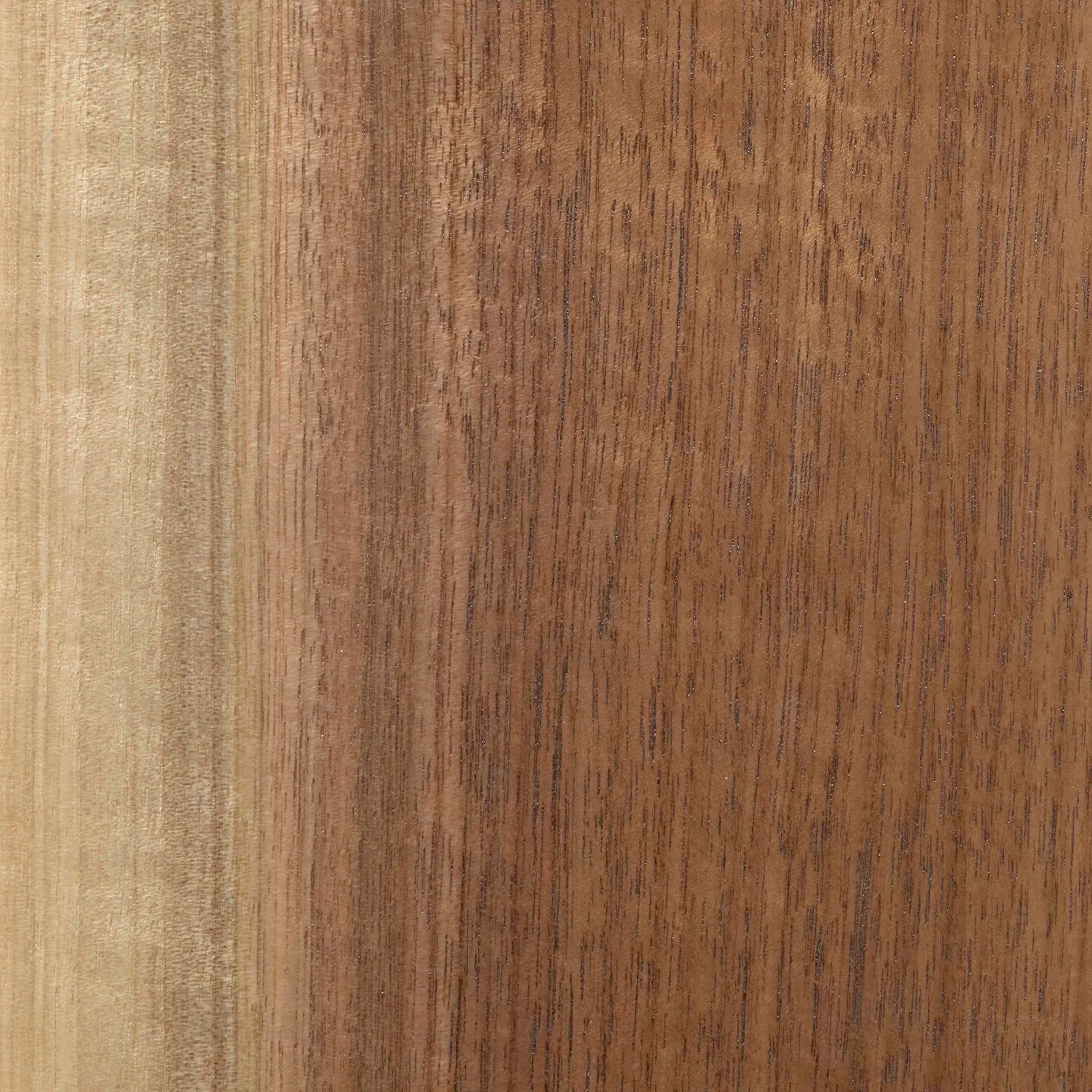 custom urban wood sample in walnut flat finish by Icon Modern