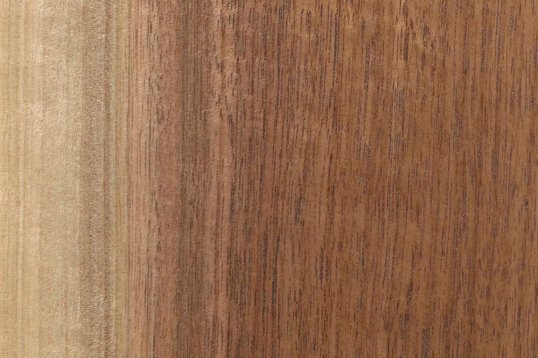 custom urban wood sample in walnut flat finish by Icon Modern