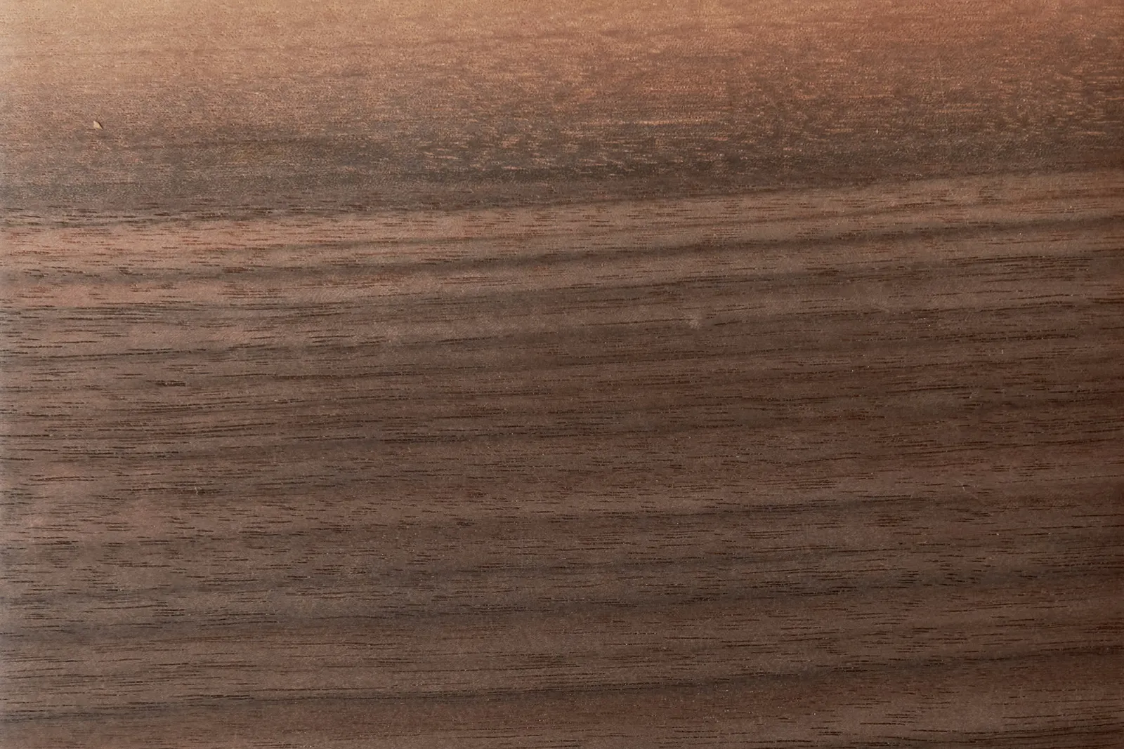 urban walnut sample by Icon Modern