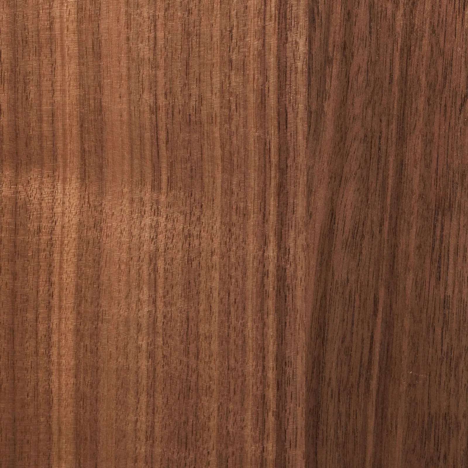 walnut veneer sample by Icon Modern