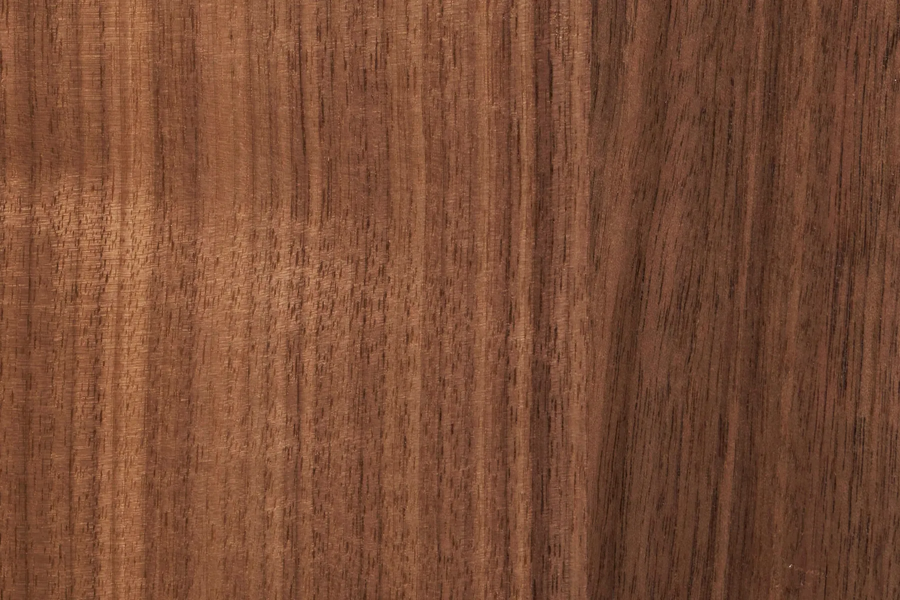 walnut veneer sample by Icon Modern