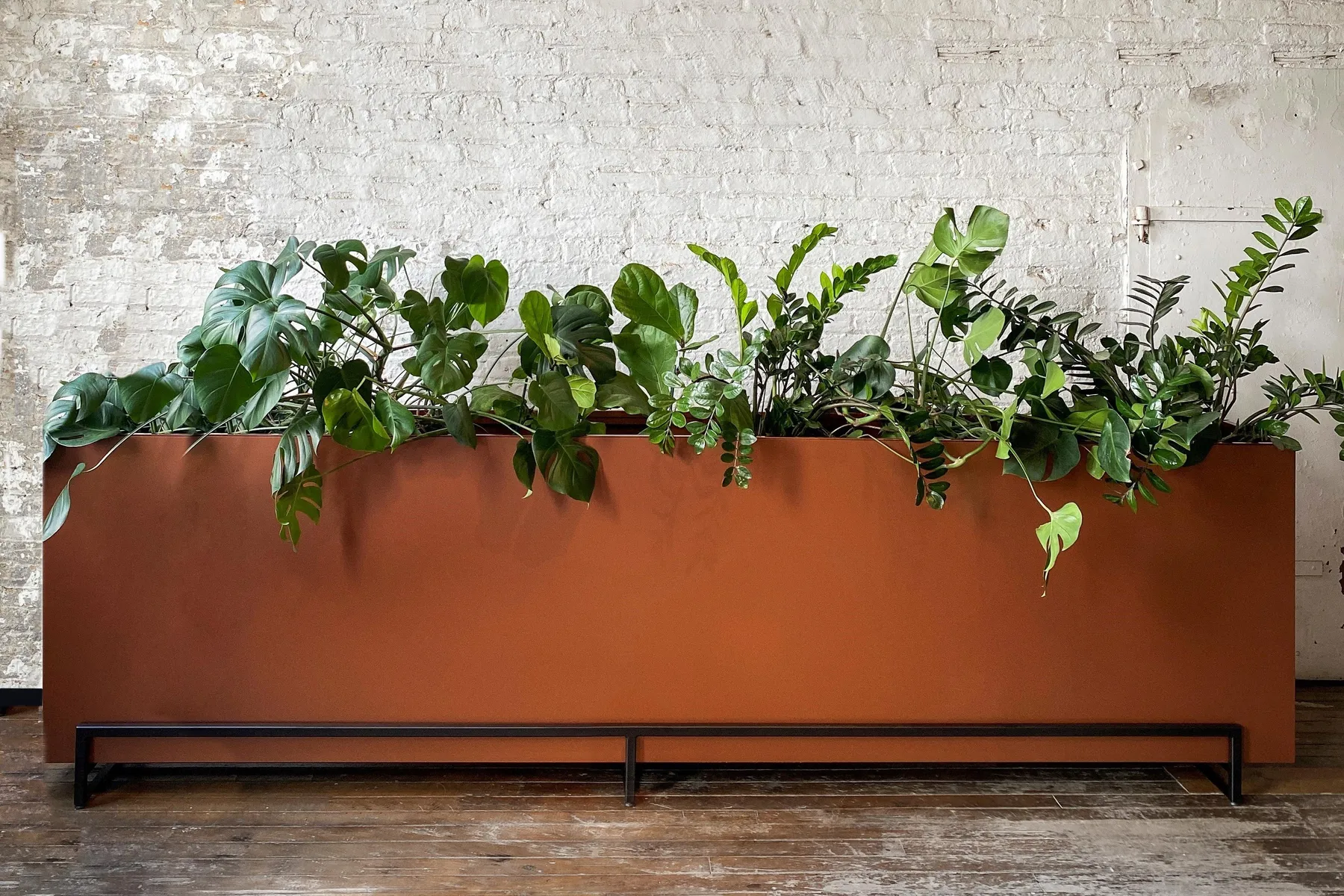 custom planter in hot rolled steel by Icon Modern