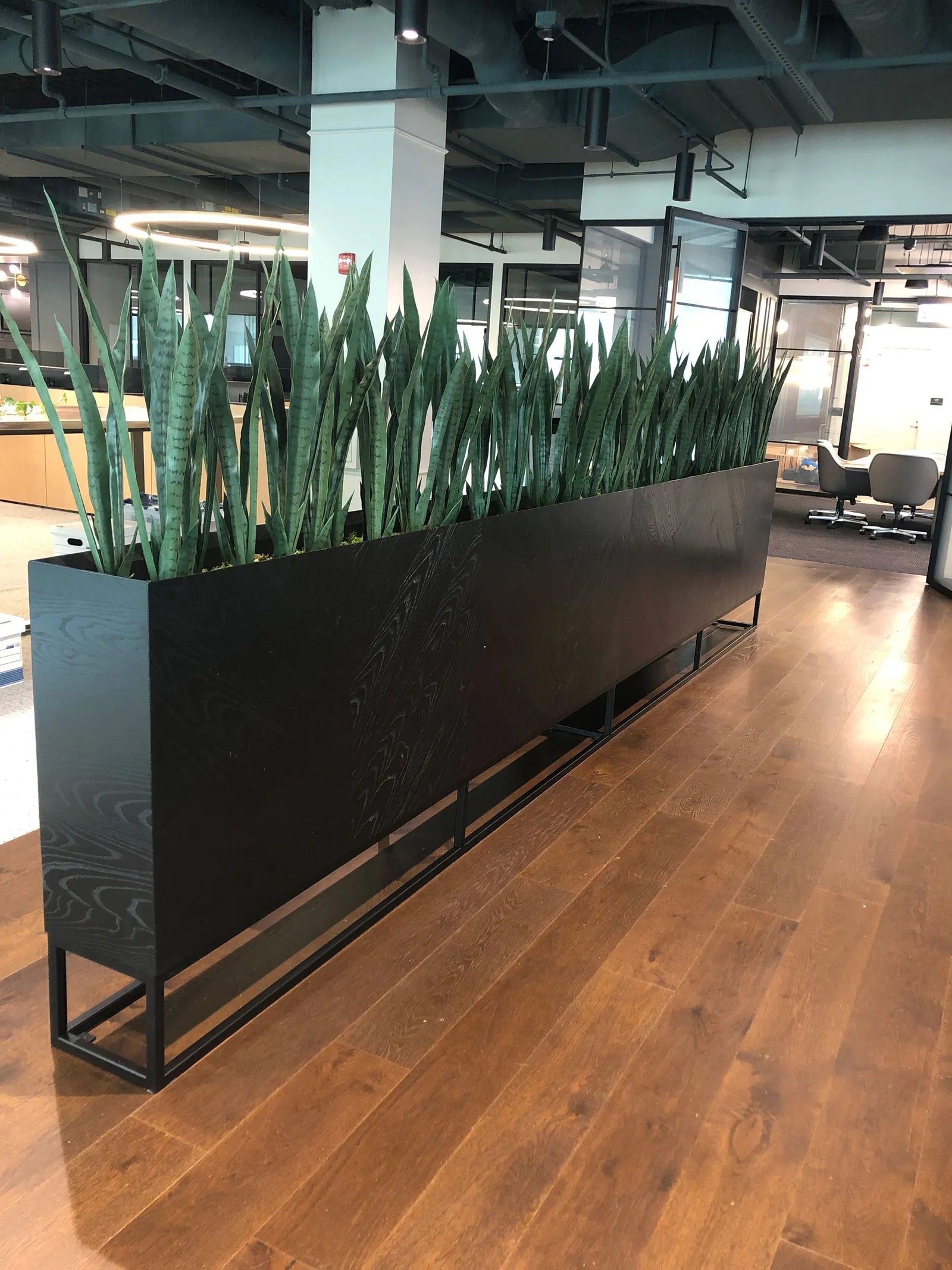Custom planter box in ebonized ash + steel base