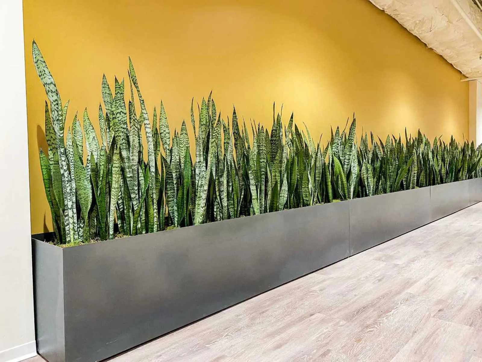 custom hot rolled steel planter