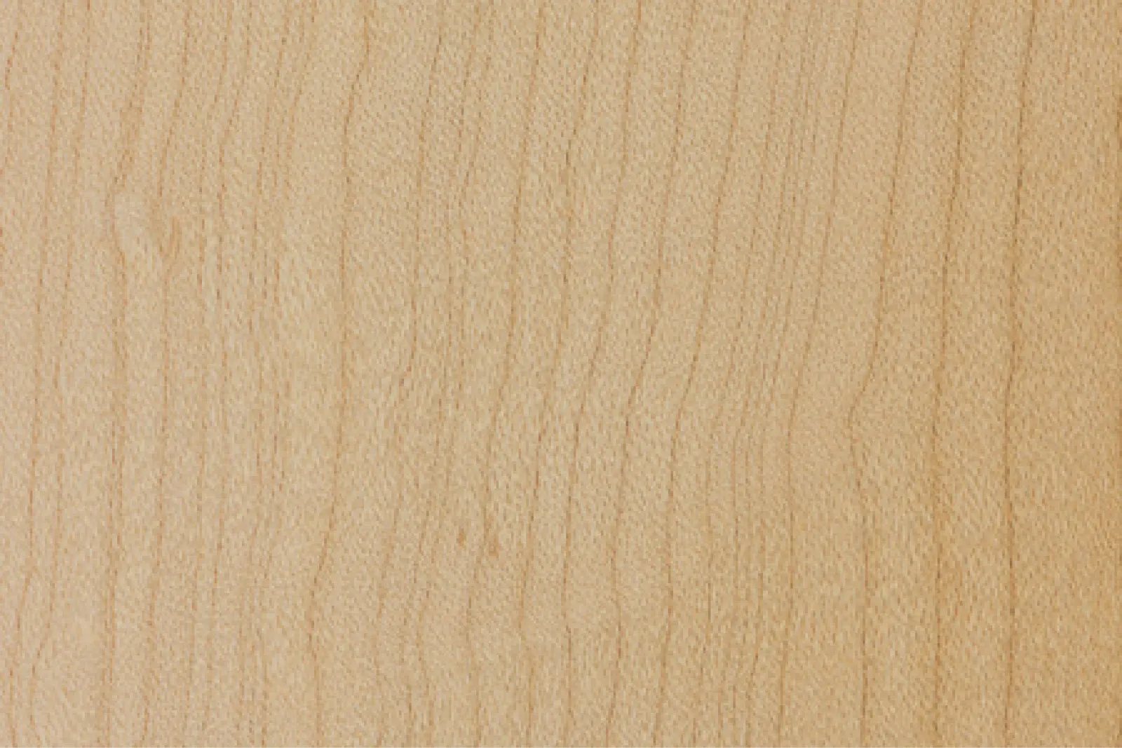 Placeholder 200708 1 SS3