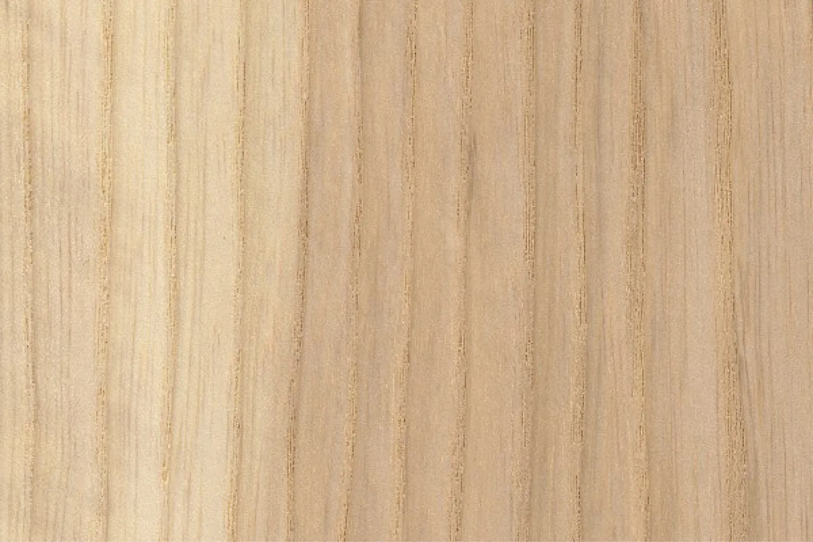 Placeholder 200708 1 SS4