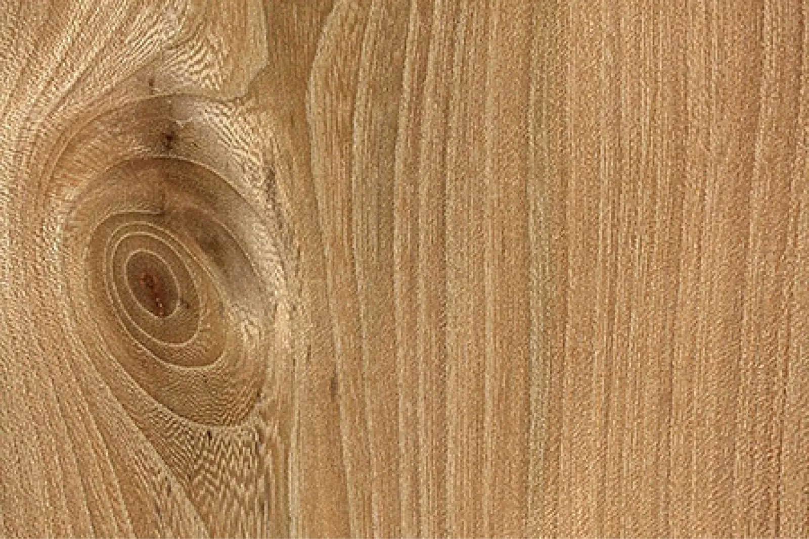 Placeholder 200708 1 SS7