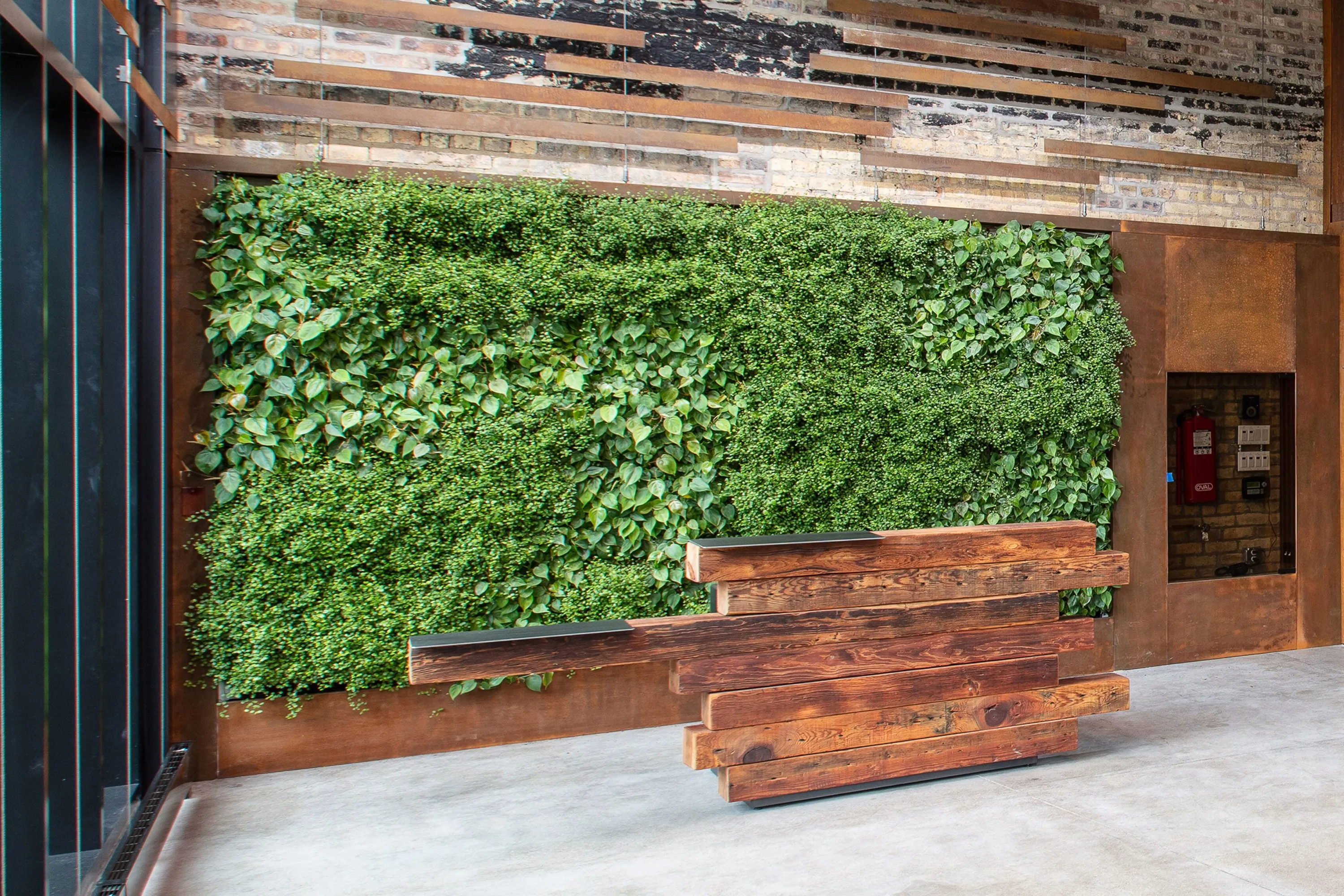 custom reception desk with plant wall