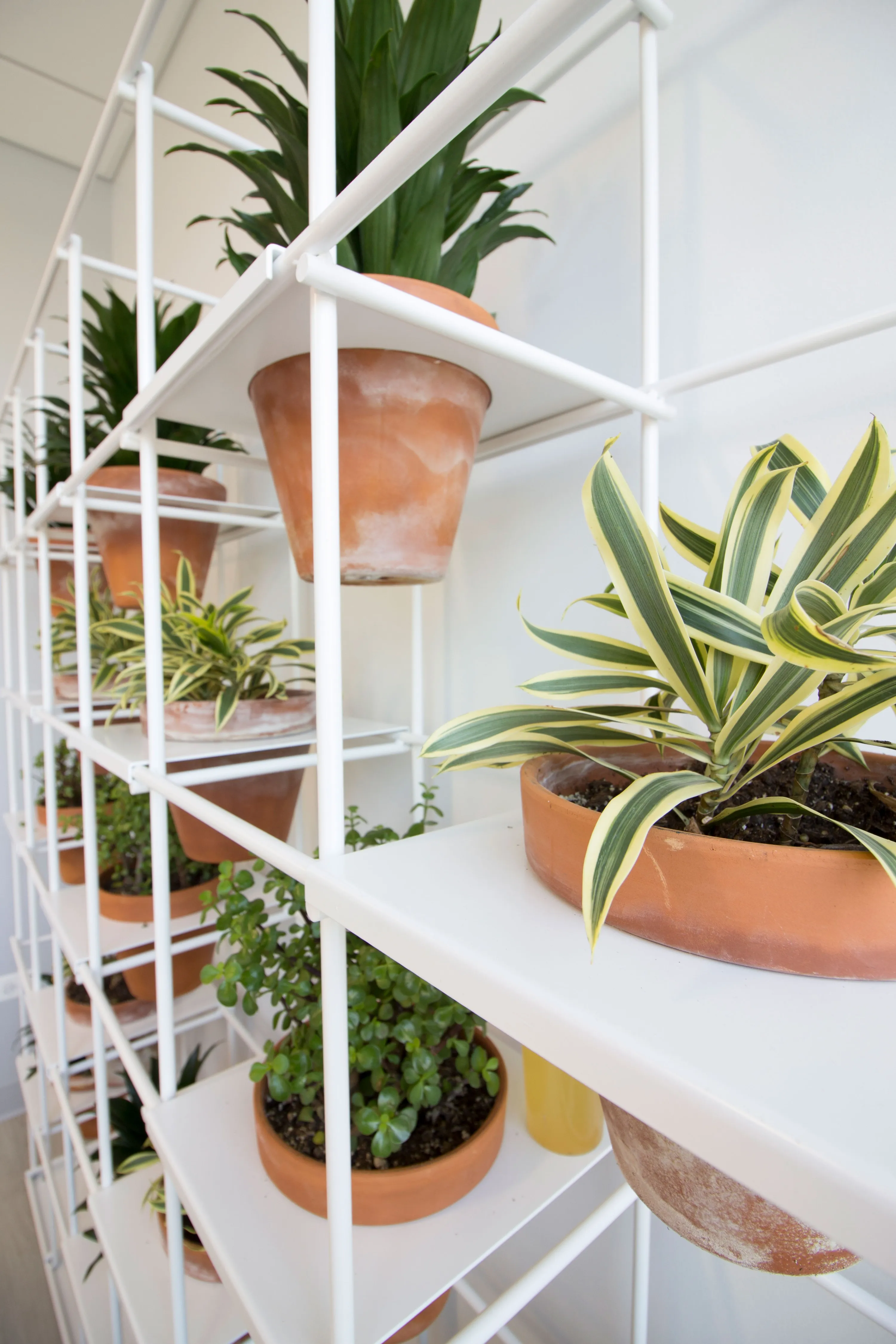 custom shelving and planters in white powdercoat by Icon Modern