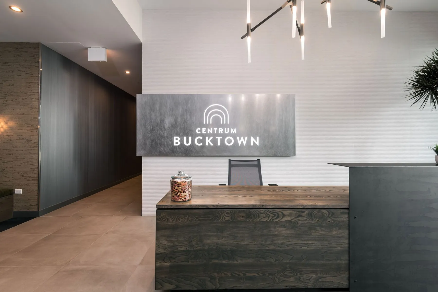 custom reception desk urban ash with steel transaction element by Icon Modern