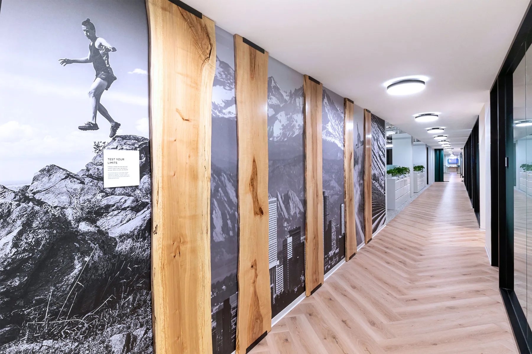 custom maple slabs by Icon Modern