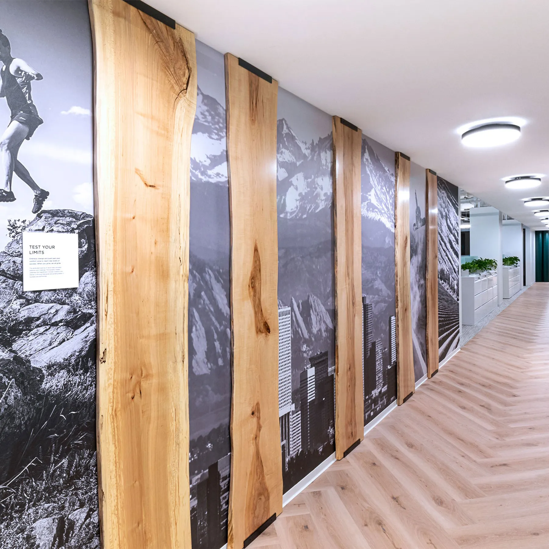 custom maple slabs by Icon Modern