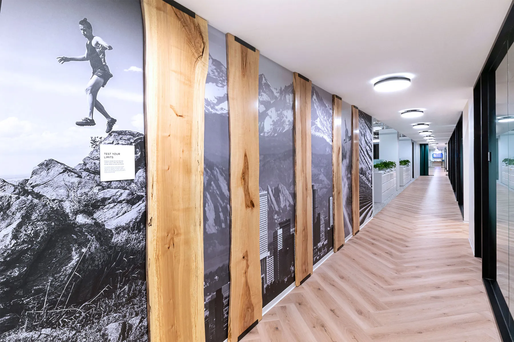 custom maple slabs by Icon Modern