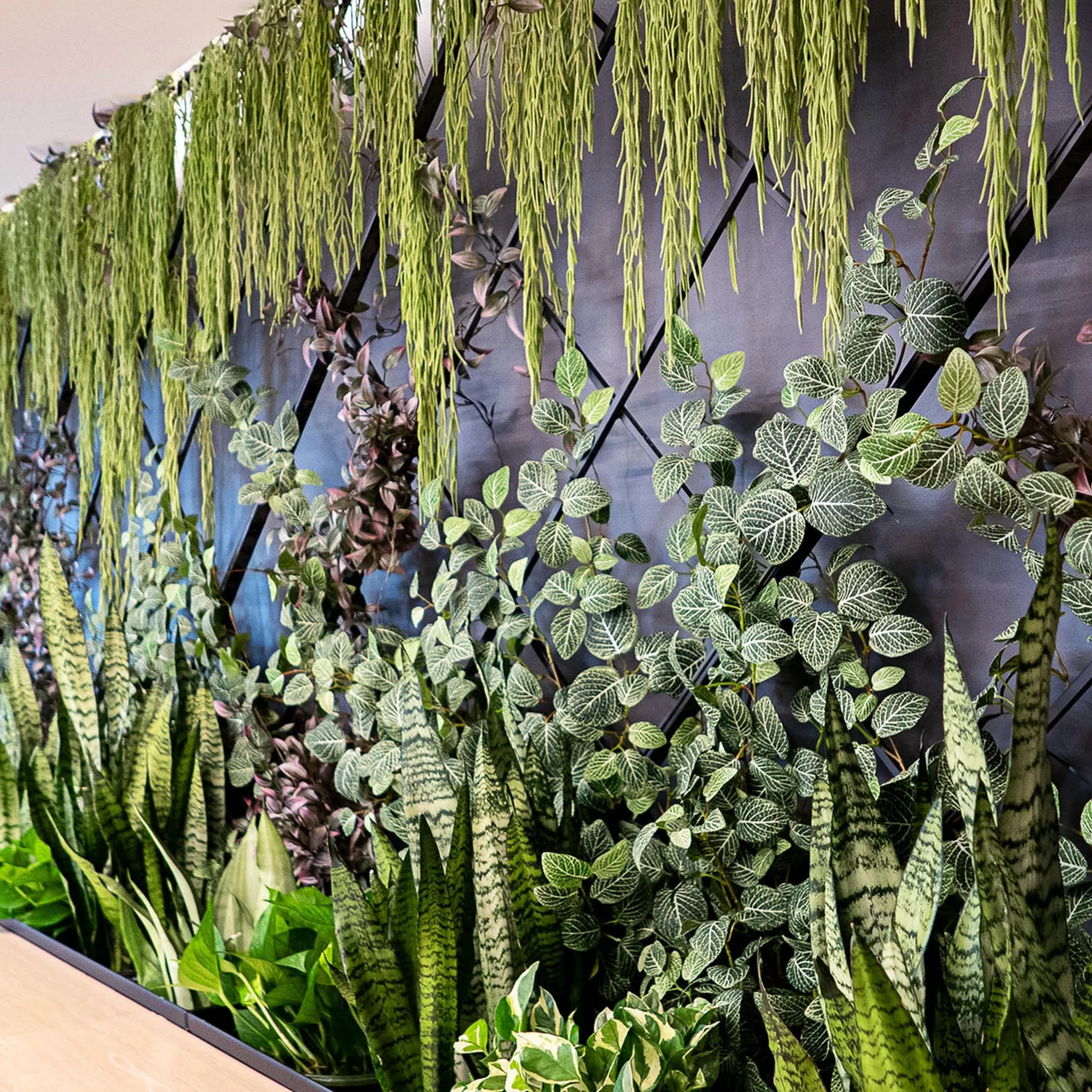 custom steel trellis with live and faux plants by Icon Modern