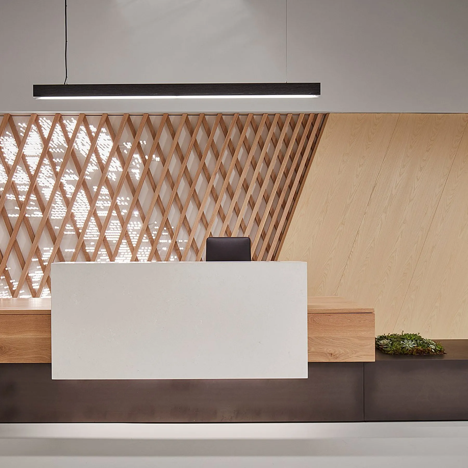 custom reception desk and feature wall by Icon Modern