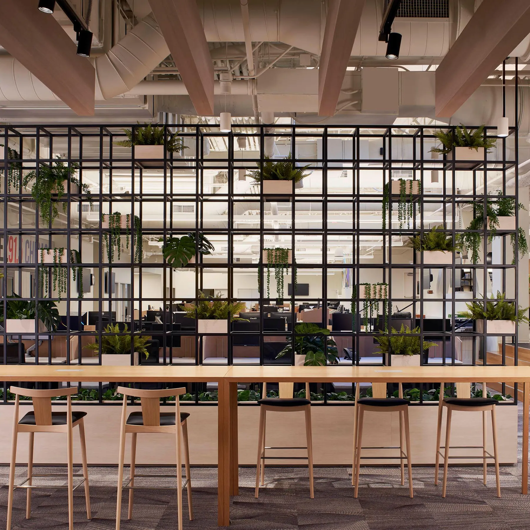 custom space divider steel planter made by Icon Modern